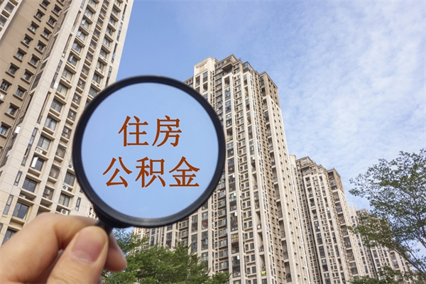 福鼎辞职可以取住房公积金吗（我辞职了可以提取住房公积金吗）